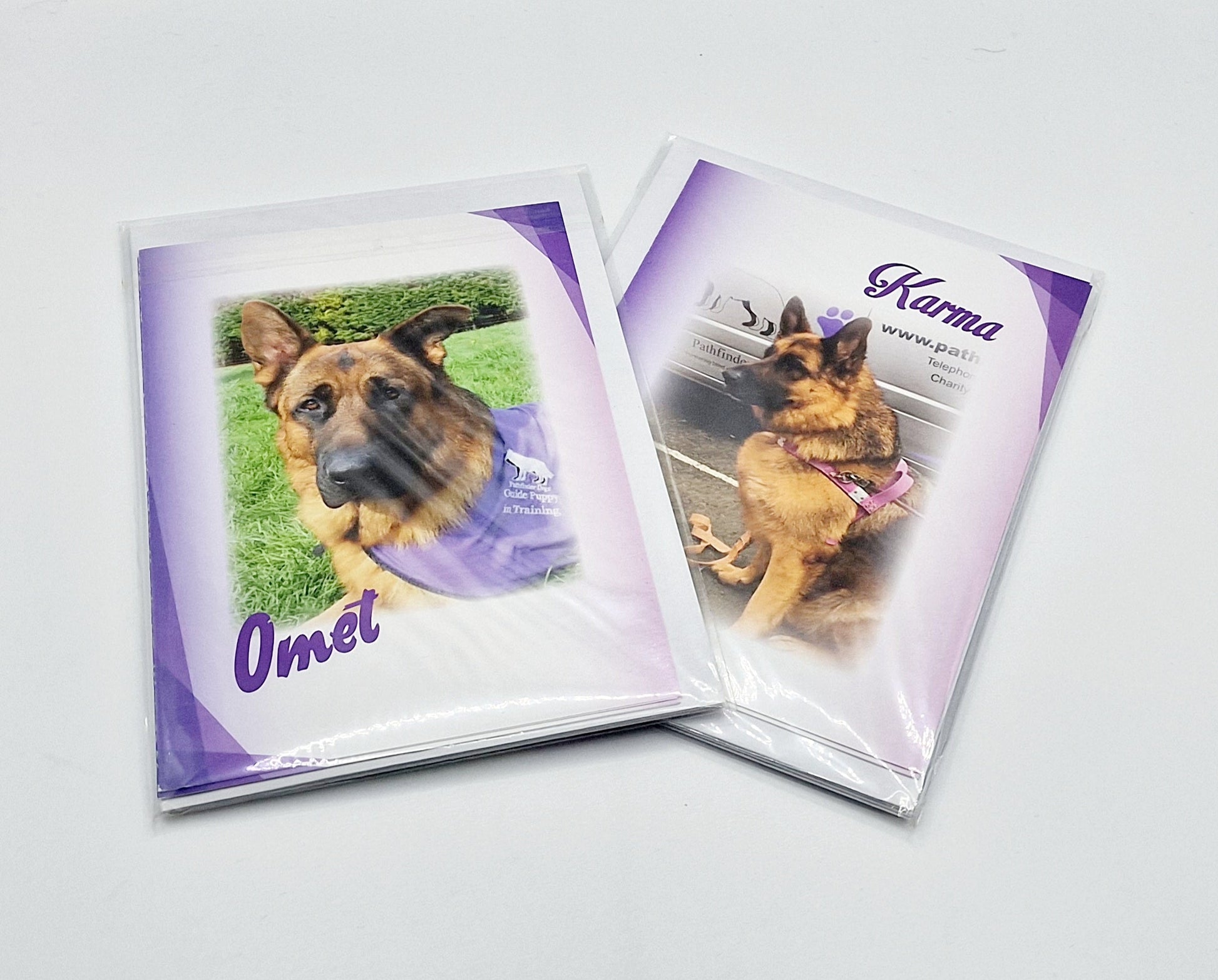 Notelet cards showing Pathfinder Dogs Omet and Karma