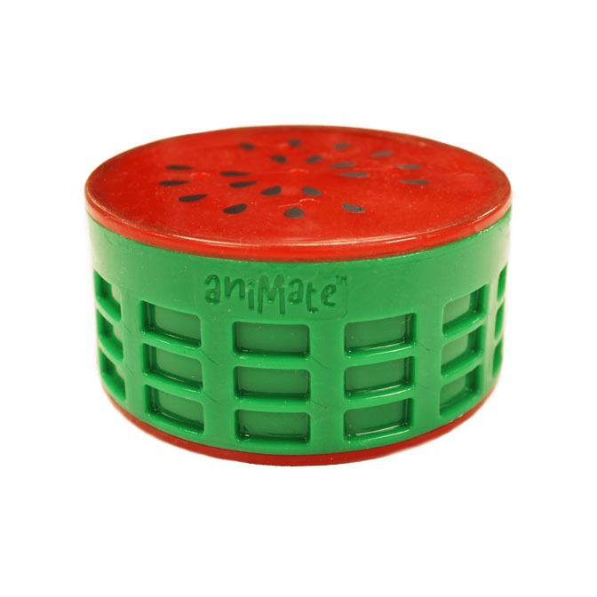 Animate Cooling Fruit Dog Toy