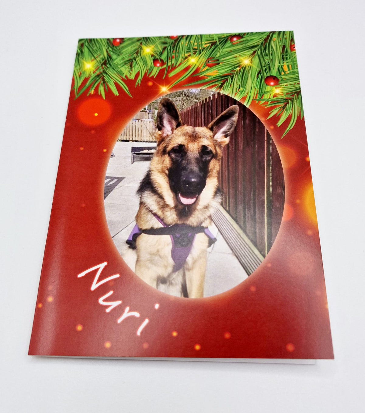 Charity Christmas Cards
