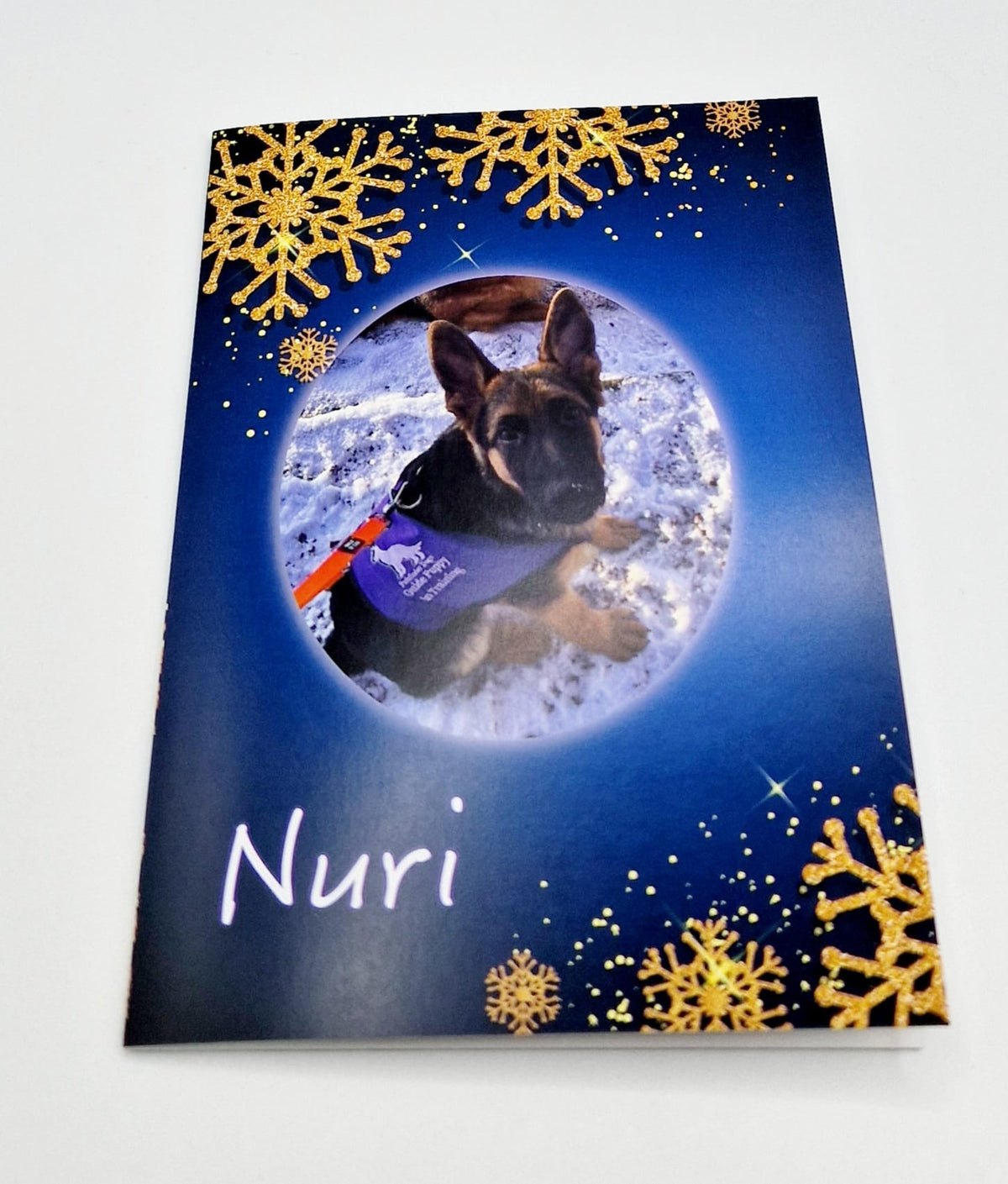 Charity Christmas Cards