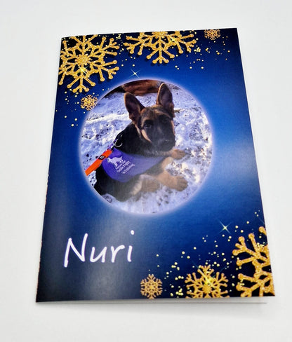 Charity Christmas Cards