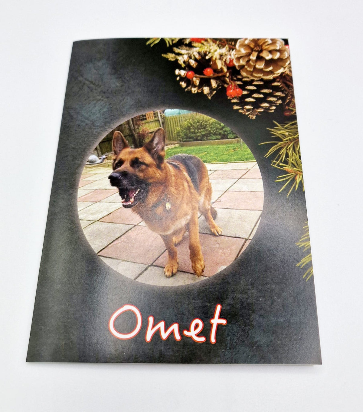 Charity Christmas Cards