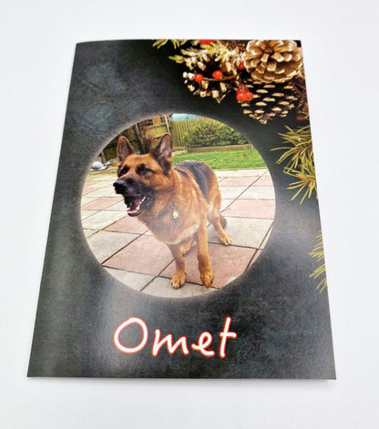 Charity Christmas Cards