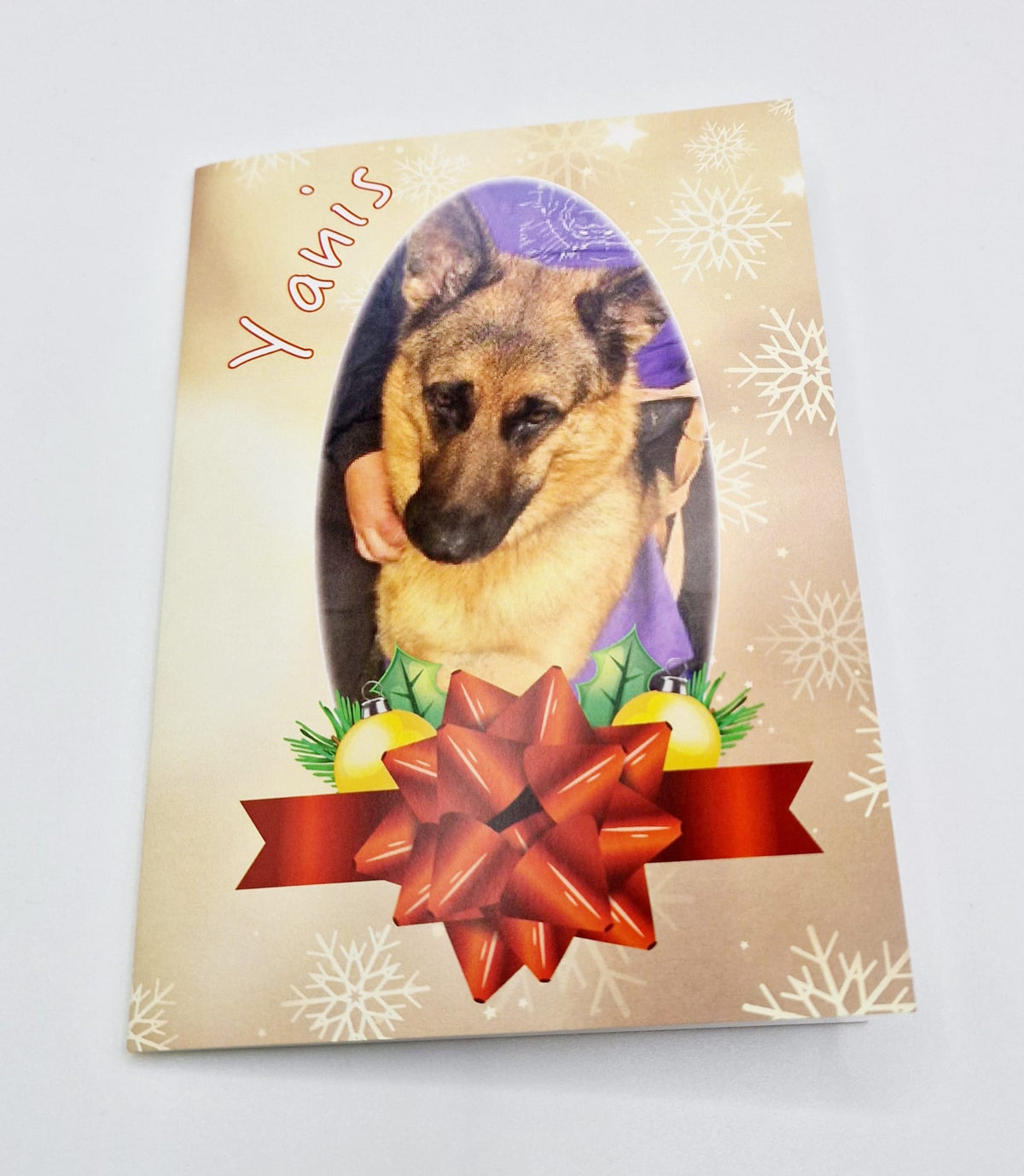Charity Christmas Cards