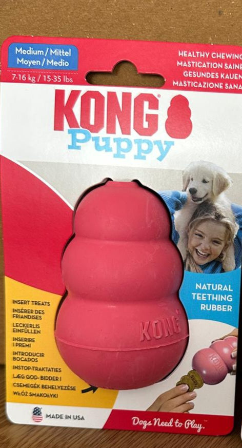 Kong - puppy