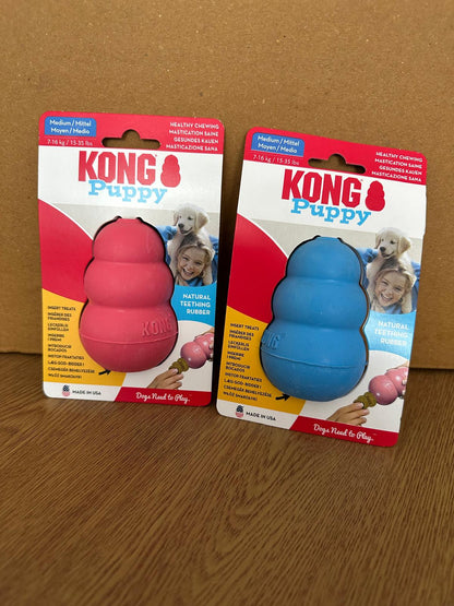 Kong - puppy