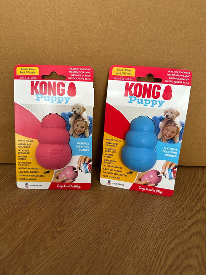 Kong - puppy