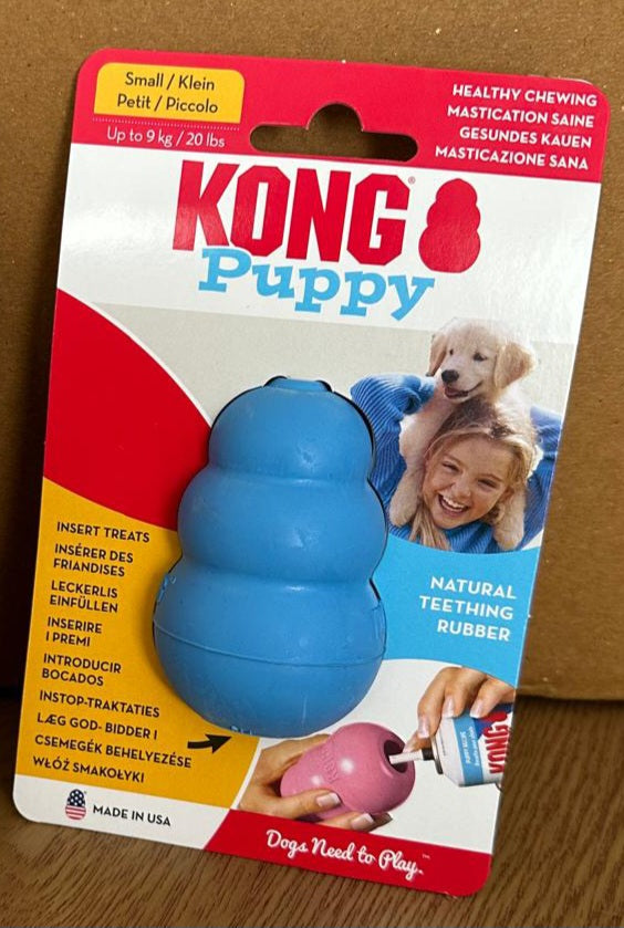 Kong - puppy